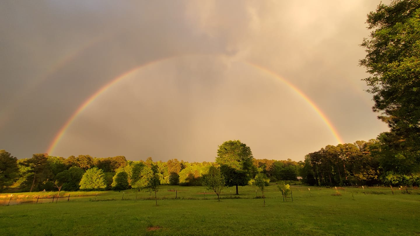 Rainbow over Sweetgum Springs Farm